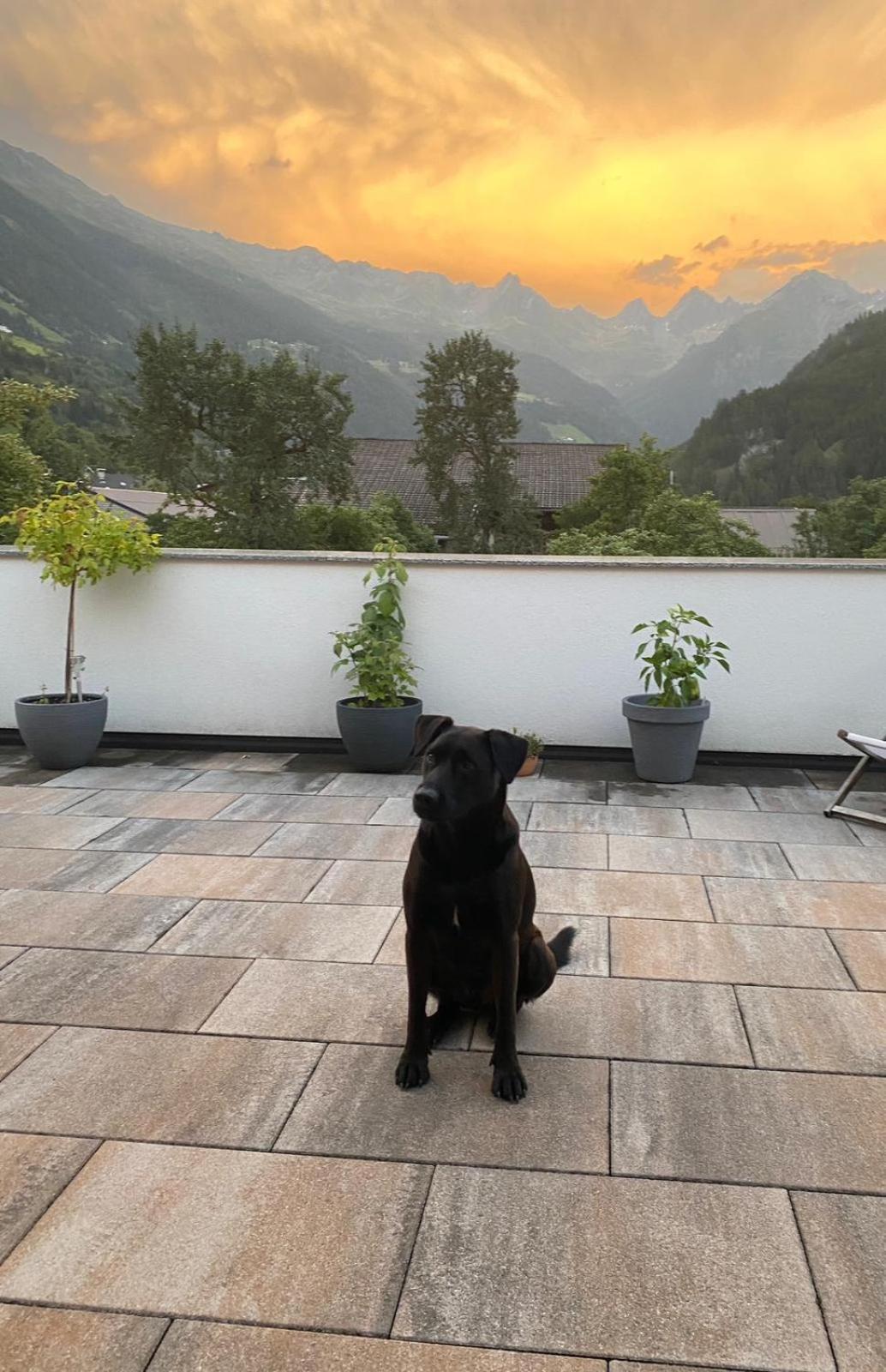 Schoene Aussicht Apartment Kauns